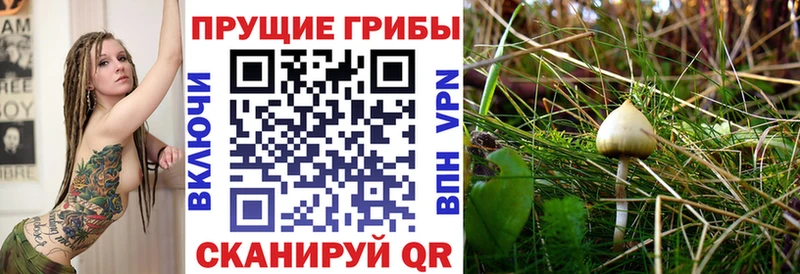 Псилоцибиновые грибы мицелий  наркотики  Нижний Ломов 