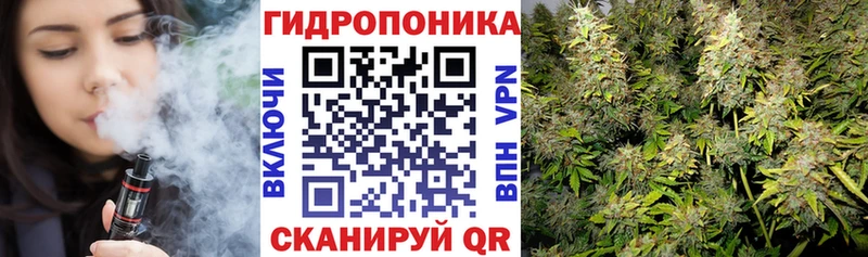 мега ссылка  Нижний Ломов  Бошки марихуана Bruce Banner 
